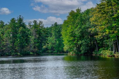 Bir yaz gününde cennet göleti manzarası