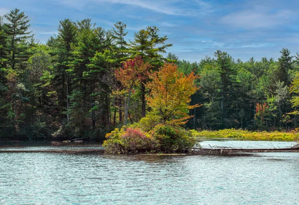 Princeton Massachusetts 'teki Cennet Göleti' ne erken dokunuş
