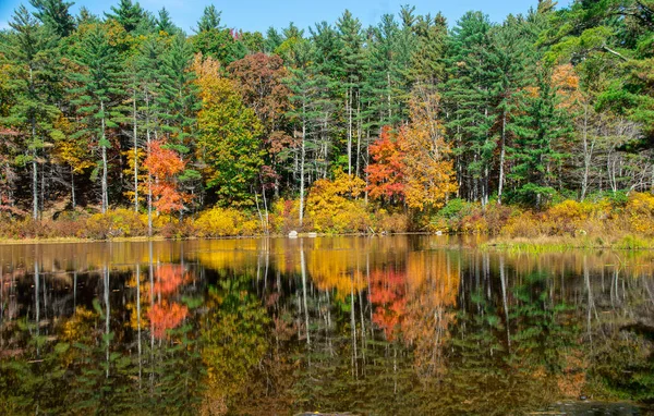 Reflexion Des Herbstes Auf Perlbachteich Perle Hügel Staatswald Stadtsend — Stockfoto