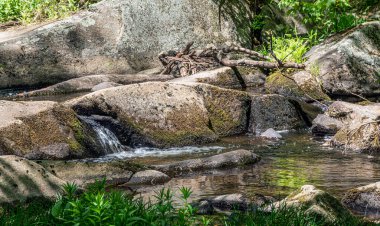  Willard Brook 'ta, Ashby Massachusetts' teki Willard Brook Eyalet Ormanı 'nda taşların çağlayarak dökülmesi.