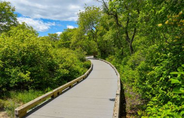 Park River Ulusal Yaban Hayatı Sığınağı 'ndaki Cehennem Kedisi Gözlem Kulesi' ne giden tahta yol., 