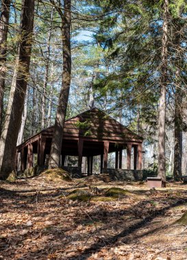 Ashby Massachusetts 'teki Willard Brook Eyalet Ormanı' nın ormanında bir pavyon.