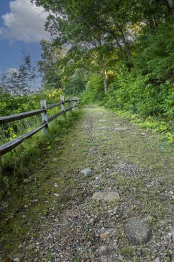 Quabbin rezervuarında bir patika. Bir yaz sabahı.,