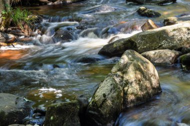 Tuzak Şelalesi, Ashby Massachusetts 'teki Willard Brook Eyalet Ormanı' ndan çağlayarak geçiyor..