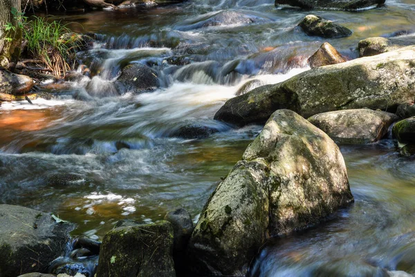 Tuzak Şelalesi, Ashby Massachusetts 'teki Willard Brook Eyalet Ormanı' ndan çağlayarak geçiyor..