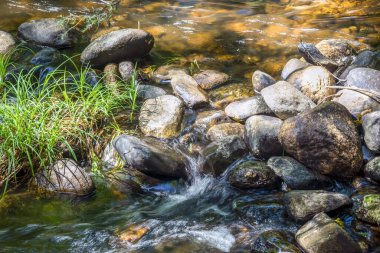 Willard Brook Eyalet Ormanı 'ndaki Willard Creek' teki kayaların üzerinde çağlayan su.
