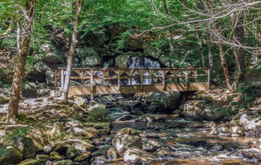    Tuzak manzarası, Ashby Massachusetts 'teki Willard Brook Eyalet Parkı' nda bir tepenin arkasına düşüyor.