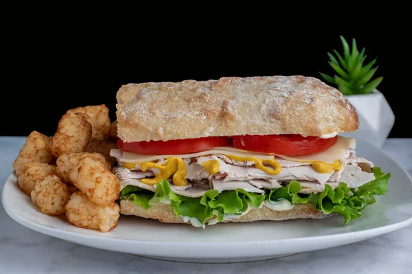turkey sub  top with tomatoes and cheese served with tater tots