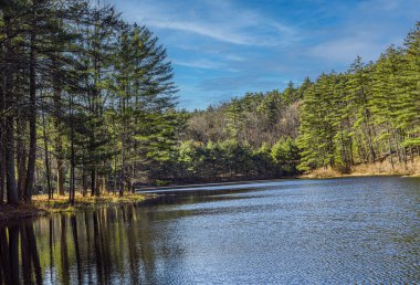 Pearl Hill Brook Gölü, bir roman gününde Massachusetts 'teki Pearl Hill Eyalet Parkı' nda yer almaktadır.