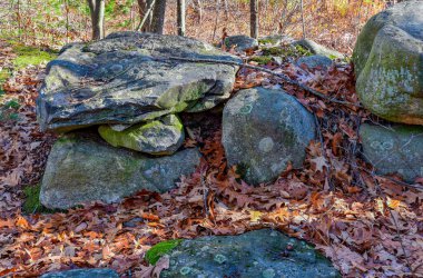 Sonbahar yaprakları kayaların arasında Yeni İngiltere 'nin vahşi doğasında
