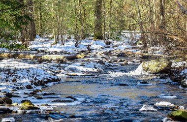 Kış boyunca Ashby Massachusetts Willard Brook 'ta bir dere.