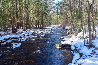  Kış boyunca Ashby Massachusetts Willard Brook 'ta bir dere.