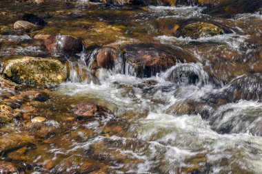 water flowing over rocks in willard brook state forest,  in ashby massachusetts clipart