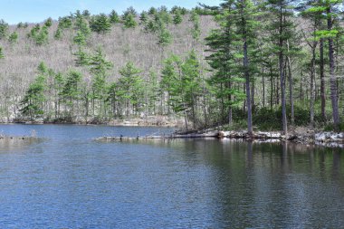Taze kar, Princeton Massachusetts 'teki cennet havuzu manzarasını kaplıyor., 