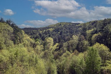 Batı Massachusetts 'teki Quabbin rezervuarının manzarası.
