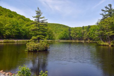 Princton Leominster Eyalet Ormanı 'ndaki Crow Hill Gölü' nde ilkbaharın başlarında.