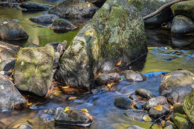  Şelale gibi akan tuzak suyu Willard Brook Eyalet Ormanı 'na dökülüyor.,