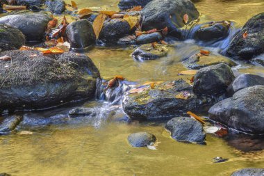 Willard Brook, Ashby Katliamı 'ndaki Willard Brook Eyalet Ormanı' ndan akıyor.