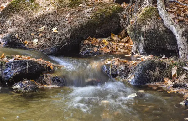 Pearl Hill Deresi, Pearl Hill Eyalet Parkı 'nın sonbahar manzarası boyunca çağlayarak ilerliyor.,.