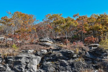  Princeton Massachusetts 'teki Wachusett Dağı' nın kayalık arazisinde sonbahar mevsimi.