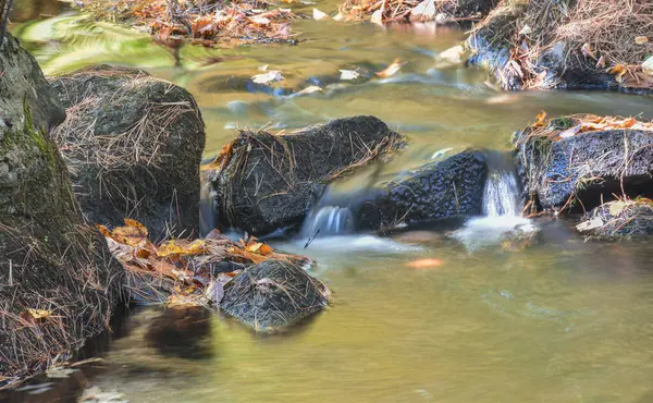 Pearl Hill nehrinde su akışı devam ediyor. Kasabadaki Pearl Hill Eyalet Parkı 'nda katliam var., 