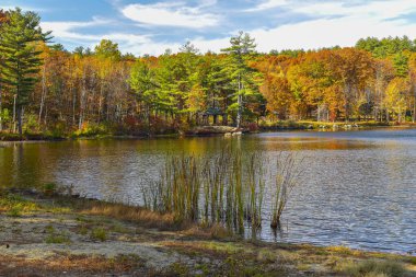 Leominster Massachusetts 'teki Barrett Park' ta sonbahar mevsimi