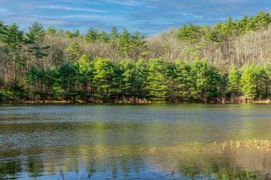  Kasım öğleden sonra Pearl Hill Brook Gölü 'nde. Pearl Hill Eyalet Parkı. Massachusetts' te yer alıyor.