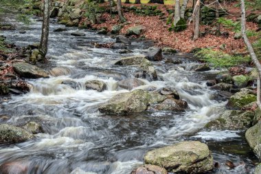 Tuzaklar dereye düşer Willard Brook Eyalet Ormanı 'ndan geçerken Ashby Massachusetts' te