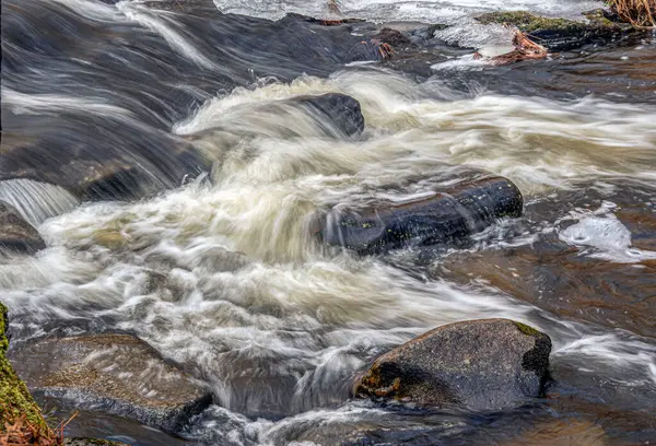 Tuzak suları, Ashby Massachusetts 'teki Willard Brook Eyalet Ormanı' na dökülüyor.