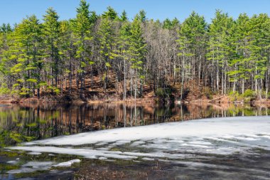 Massachussetts 'teki Pearl Hill Eyalet Parkı' ndaki Pearl Hill Dere Gölü 'ndeki buzun manzarası..