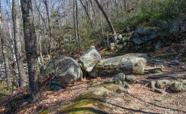 Princeton Massachusetts 'teki Leominster Eyalet Ormanı' nın birçok patikasından biri.