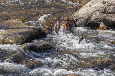 Yeni İngiltere 'de küçük bir derede akan su