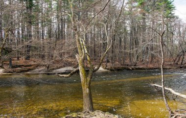 Lancaster Massachusetts 'teki aşçı koruma alanından geçen Nashua nehri.