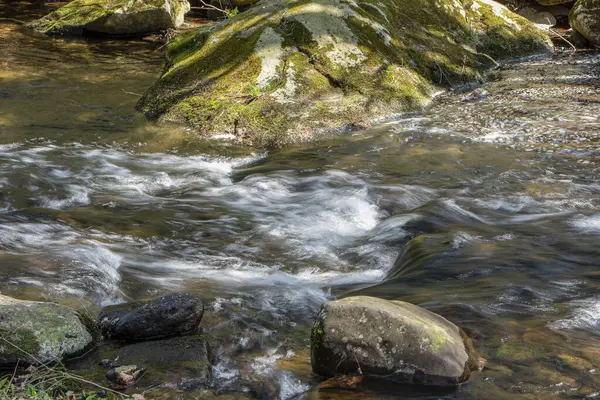 Willard Brook Eyalet Ormanı 'nda hareket halindeki su Ashby Massachusetts' te bulunuyor.