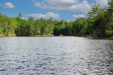 Princeton Massachusetts 'teki Leominster Eyalet Ormanı' ndaki Cennet Havuzu 'nda bahar günü.