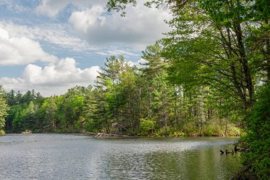 Öğleden sonra bir cennet göleti.