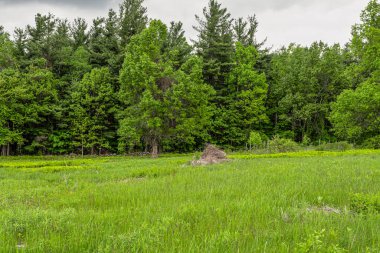  Leominster Massachusetts 'te bulunan Sholan çiftliği kamu çiftliğidir.