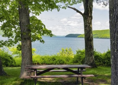 Wai Massachusetts 'te piknik alanından görülen quabbin rezervuarı. .