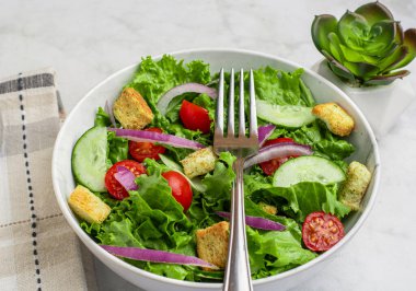 Domatesli bahçe salatası, salatalık ve kızarmış soğan., 