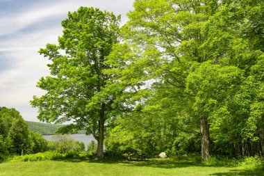  Öğleden sonra geç saatlerde, Massachusetts 'teki Quabbin deposunda bulunan Hank Meadows' da.