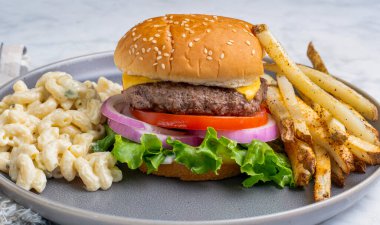 Peynirli burger, domates ve soğanlı susamlı çörek patates kızartması ve makarna salatası.
