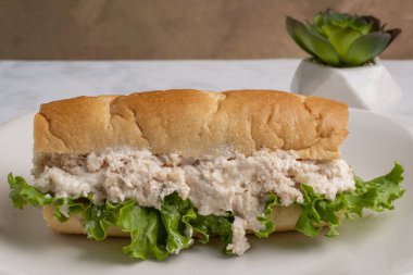 Soğanlı tavuk salatası ve kıvırcık salata.