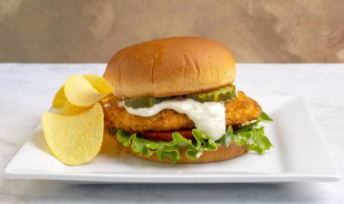  Hamburg çöreğinde servis edilen marul, domates ve turşulu tavuk göğsü.