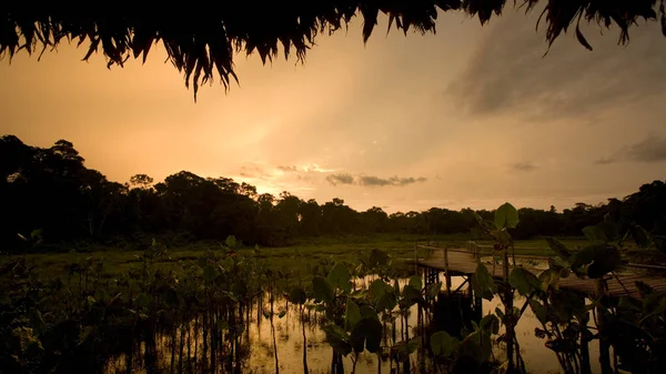 Lagoa Pôr Sol Kapawi Ecolodge Largo Rio Pastasa Equador América — Fotografia de Stock