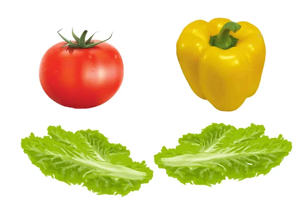 Salada Realismo Vetorial Pimenta Tomate Apetitoso Real Fresco — Vetor de Stock