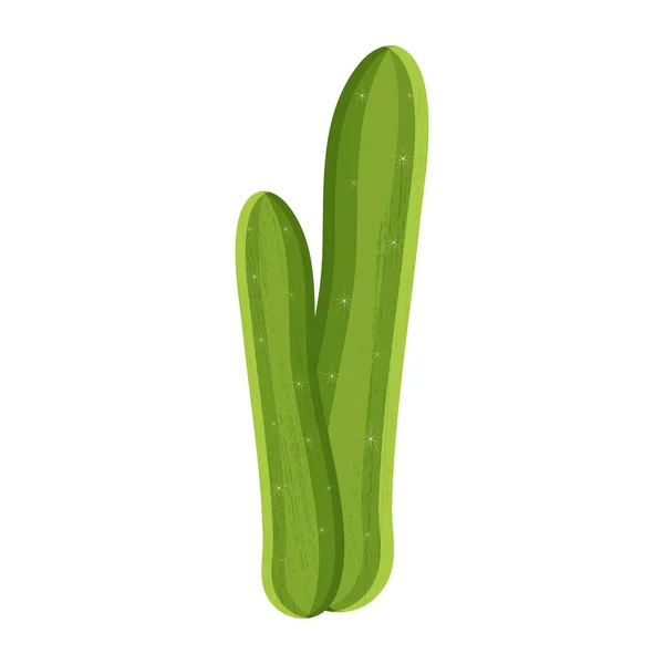 Ilustración Vectorial Cactus Mexicano Con Espinas Coloreadas Aislado Sobre Fondo — Vector de stock