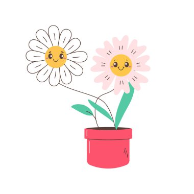 İki papatya, papatya, kırmızı çanakta papatya çiçeği. Vektör illüstrasyonu 