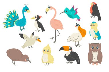 Bir grup farklı kuş, isimlerle çocuksu bir illüstrasyon. İlkbahar, egzotik kuşlar.