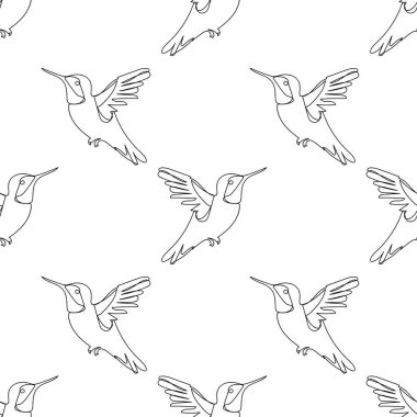 Kusursuz desen, çizgi sinekkuşu, beyaz arkaplan, kumaş ve ambalaj için çizgi çizimi 