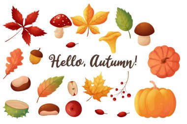 Bir dizi sonbahar elementi. Yapraklar, mantarlar, kestaneler ve balkabakları. Bir beyazda izole edilmiş..